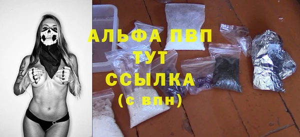 прущий лед Каменка