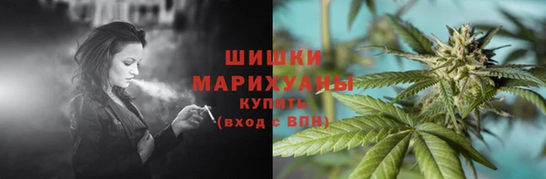 прущий лед Каменка