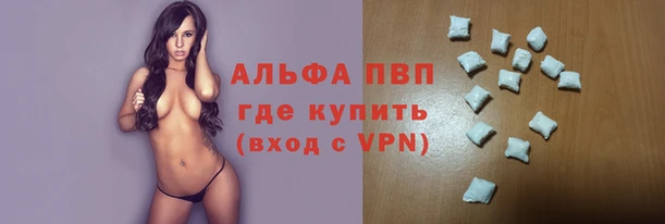 скорость Каменногорск
