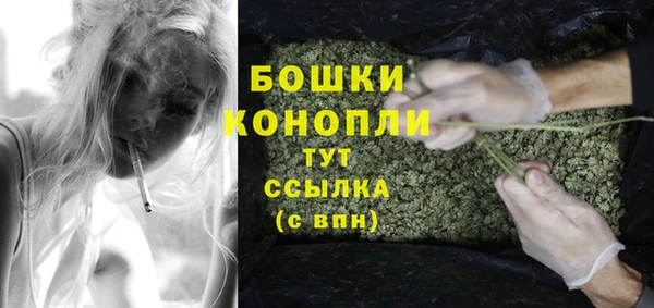 скорость Каменногорск