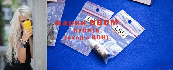 прущий лед Каменка
