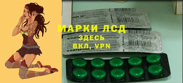 прущий лед Каменка