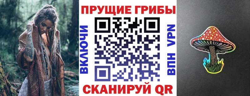 Псилоцибиновые грибы GOLDEN TEACHER  Купить закладки  Александровск 