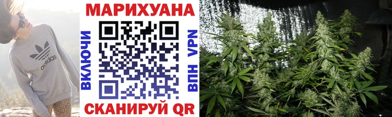 Каннабис семена  Купить закладки  Александровск 